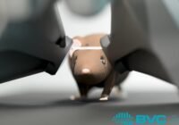 Magyar kutatók saját fejlesztésű VR eszközükkel fedezték fel a látás új mechanizmusait