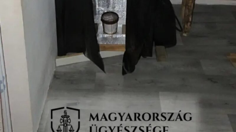 Otthoni termesztéshez rendelt Hollandiából kender-magokat