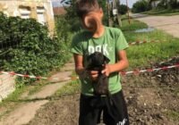 Az összefogás mindenre képes