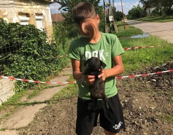 Az összefogás mindenre képes