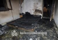 Kutyusokat menekítettek a pusztító lángokból