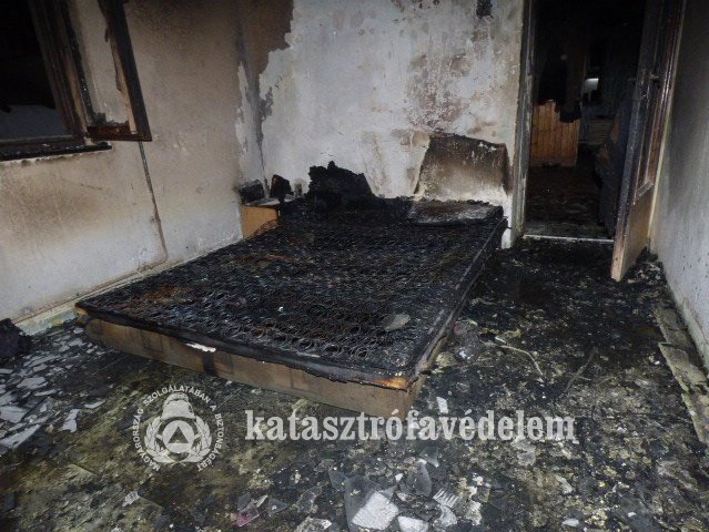 Kutyusokat menekítettek a pusztító lángokból