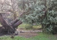 Kidőlt fák, megbontott tetők a hétfői vihar nyomában