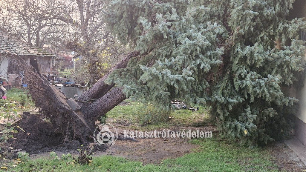Kidőlt fák, megbontott tetők a hétfői vihar nyomában
