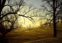 Hétfőre 10-14 Celsius-fokkal nőtt a hőmérséklet
