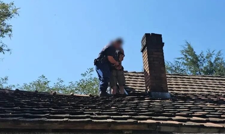 A csúcson kell abbahagyni