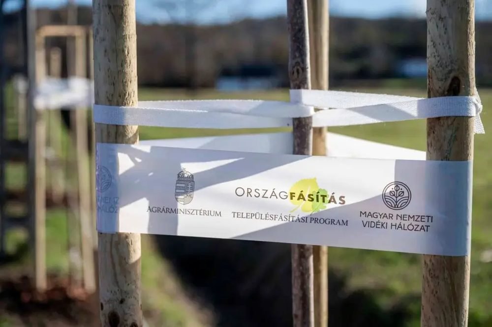 Folytatódik az ország legnagyobb belterületi fásítási programja
