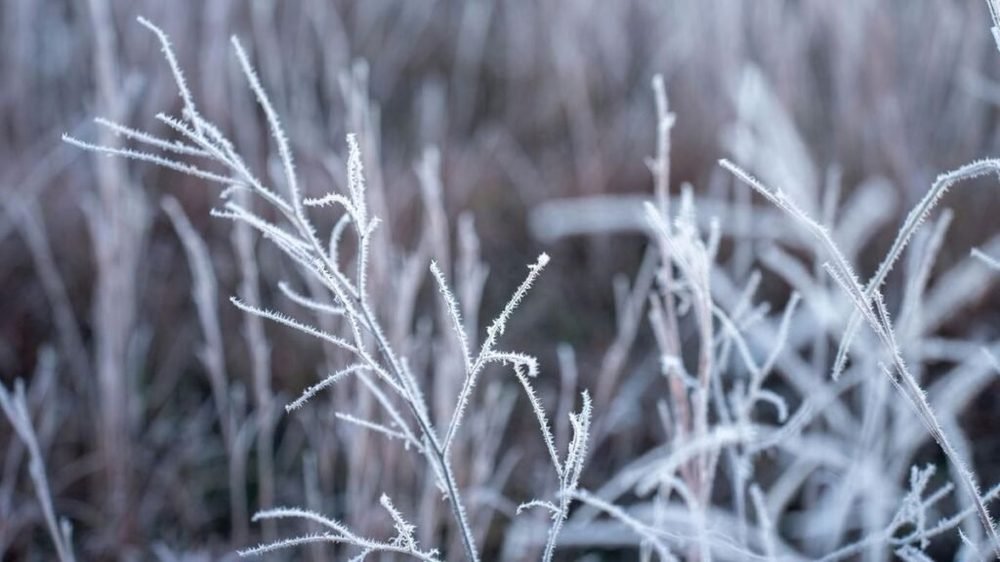 -10 fok közelében alakultak a minimumok