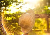 Napos, nyárias idő várható a hétvégén