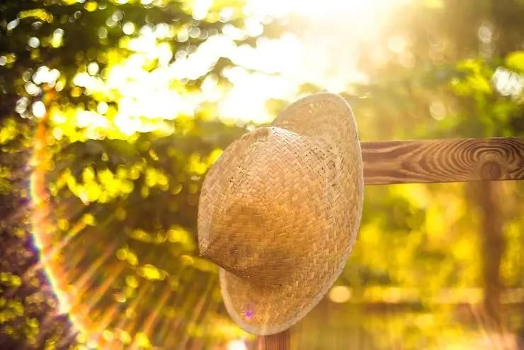 Napos, nyárias idő várható a hétvégén