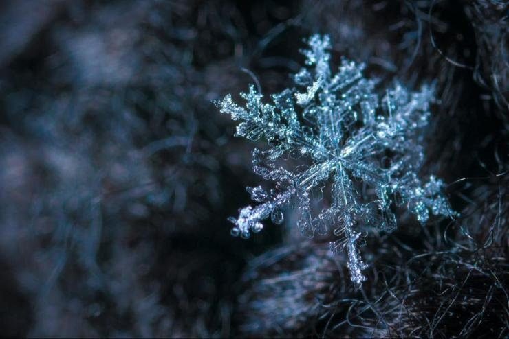 Meteorológia: enyhe és nagyon száraz volt a tél