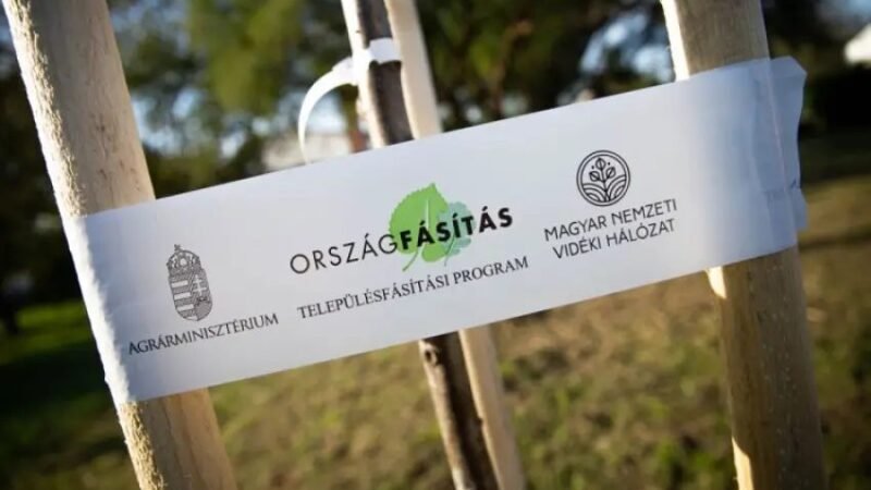 46 ezer fát ültettek el eddig az Országfásítási programban