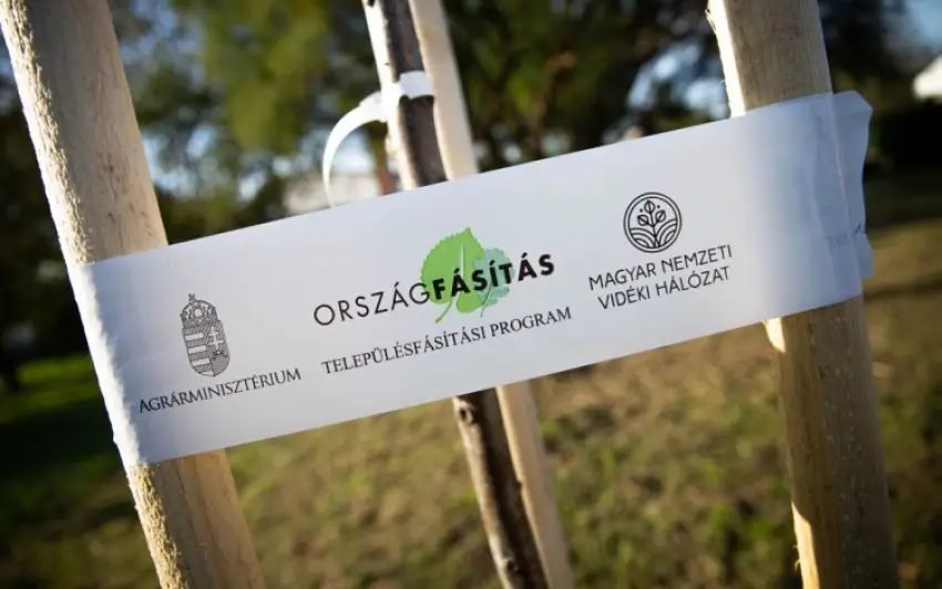 46 ezer fát ültettek el eddig az Országfásítási programban