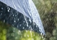 Enyhe, de esős, szeles idő várható a hétvégén