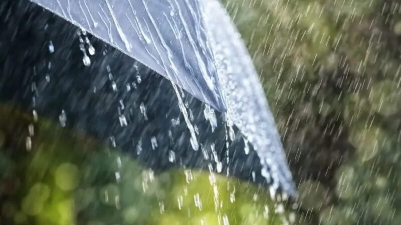 Enyhe, de esős, szeles idő várható a hétvégén