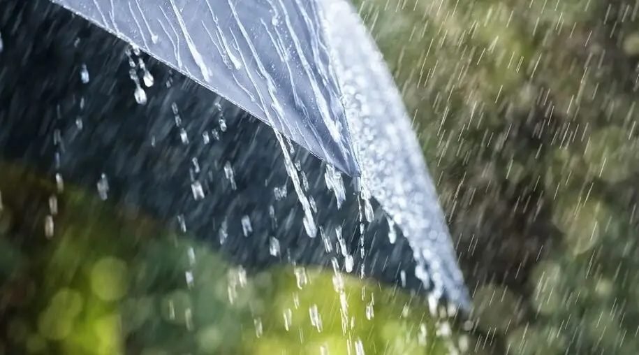 Enyhe, de esős, szeles idő várható a hétvégén