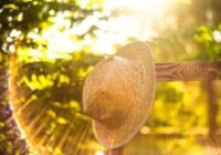A héten kissé mérséklődik a hőség