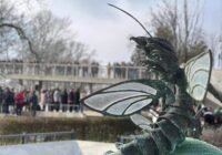 25 éve éledt újjá a Tisza
