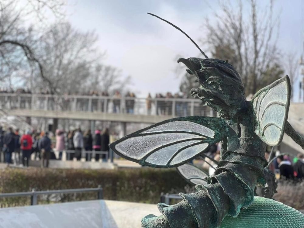 25 éve éledt újjá a Tisza