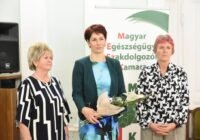 A vármegye ápolóit köszöntötték