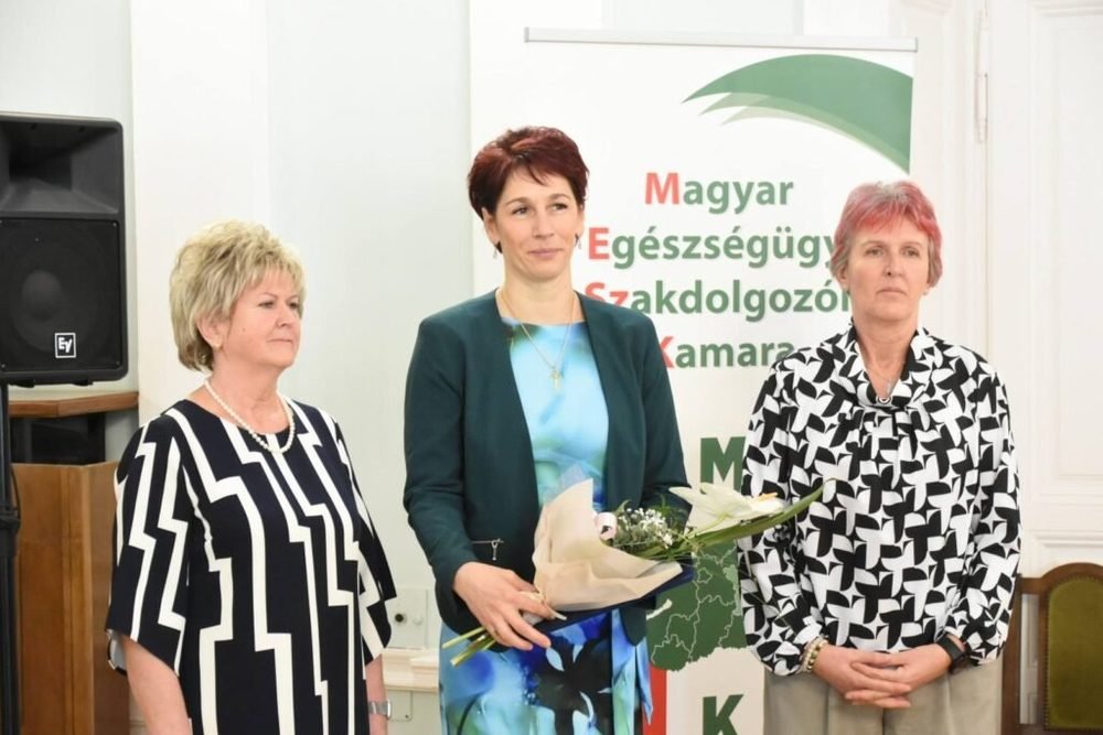 A vármegye ápolóit köszöntötték