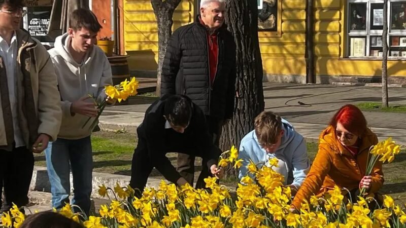 Nárciszok a Méltóság mezejéről