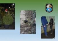 Szabadnapos rendőr buktatta le a jászapáti Grincset