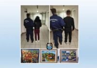 Festményeket akart lopni