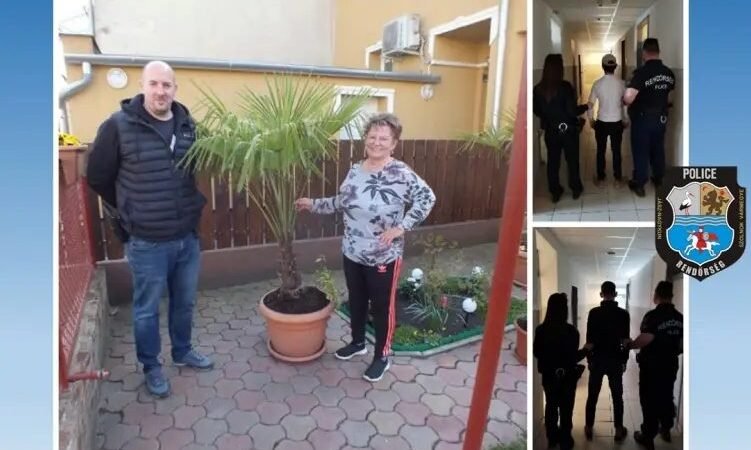 Tyúktól a pálmafáig