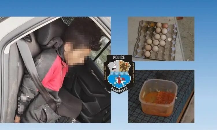 Hoztam tojást, megsütjük!