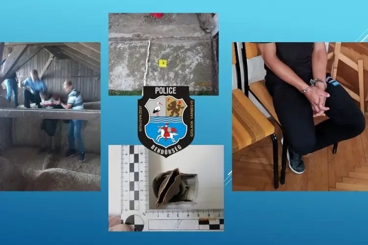 Családi biznisz