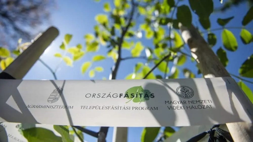 Országszerte újabb 8000 sorfát ültettek el a Településfásítási Programban