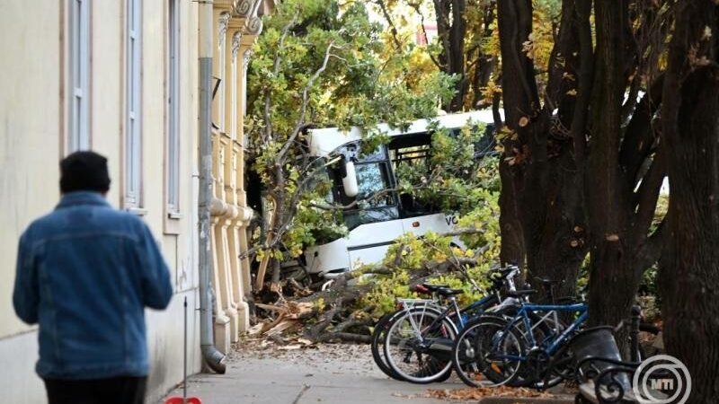 Pillanatnyi eszméletvesztés okozhatta a balesetet