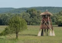 Feltárulnak hazánk természeti értékei a Nemzeti Parkok Hetén