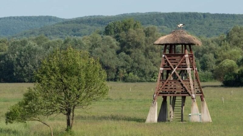 Feltárulnak hazánk természeti értékei a Nemzeti Parkok Hetén