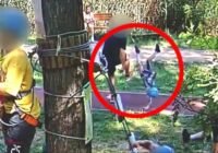 Vádemelési javaslat született a szolnoki kalandparkban történt gyermekbántalmazás ügyében