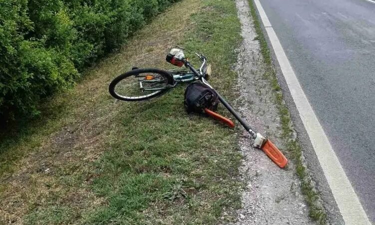 Zsákmányát hátrahagyva menekült