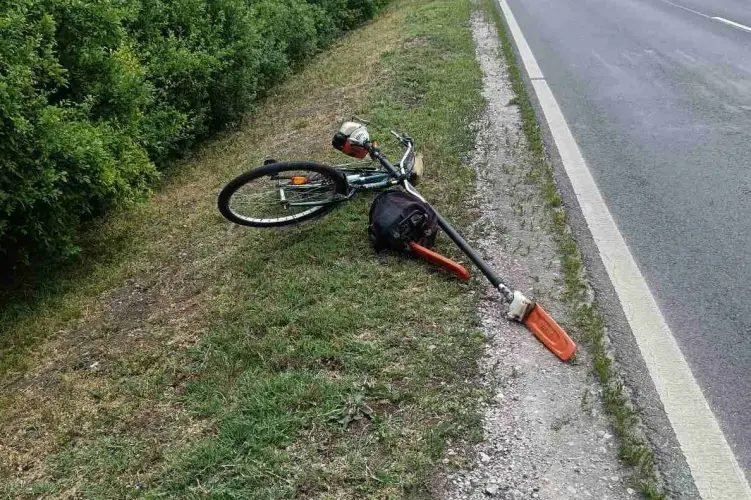 Zsákmányát hátrahagyva menekült