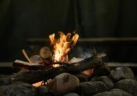 Mindenütt feloldja a tűzgyújtási tilalmat a Nébih