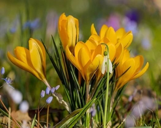 Napos, enyhe idő várható a tavasz első hetében