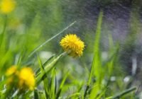 Változékonnyá válik az időjárás a pünkösdi hosszú hétvégén