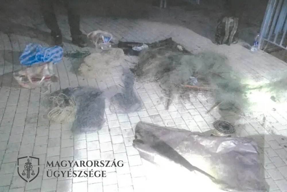 Hej, halászok, halászok, mit fogott – engedély nélkül – a hálótok