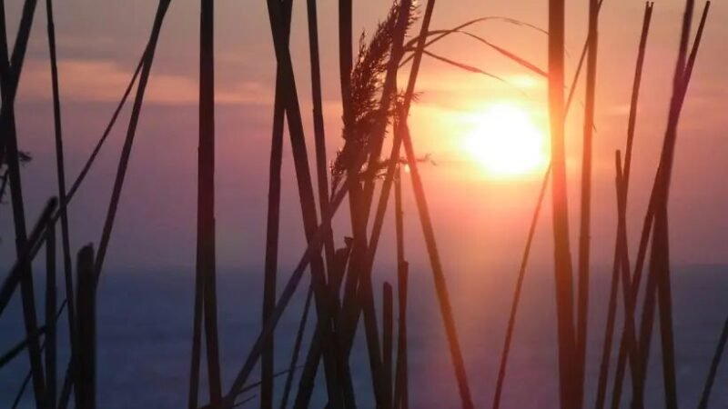 Átmeneti lehűlésre és fagyveszélyre figyelmeztet a meteorológia