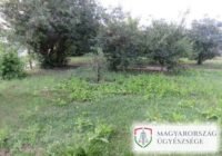 Először rátámadt egy nőre az utcán, aztán más adatait adta meg, amikor ki akarta hallgatni a rendőrség