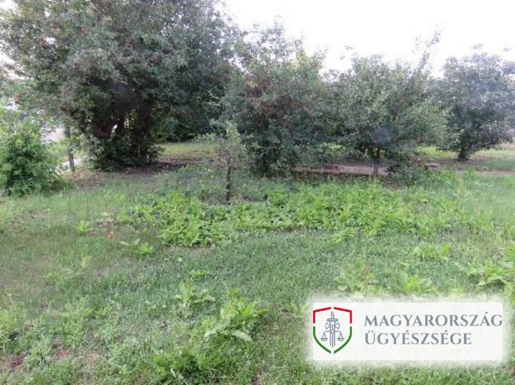 Először rátámadt egy nőre az utcán, aztán más adatait adta meg, amikor ki akarta hallgatni a rendőrség