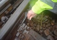 Vasúti közlekedés biztonságát veszélyeztette