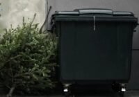Hamarosan indul a karácsonyfajárat