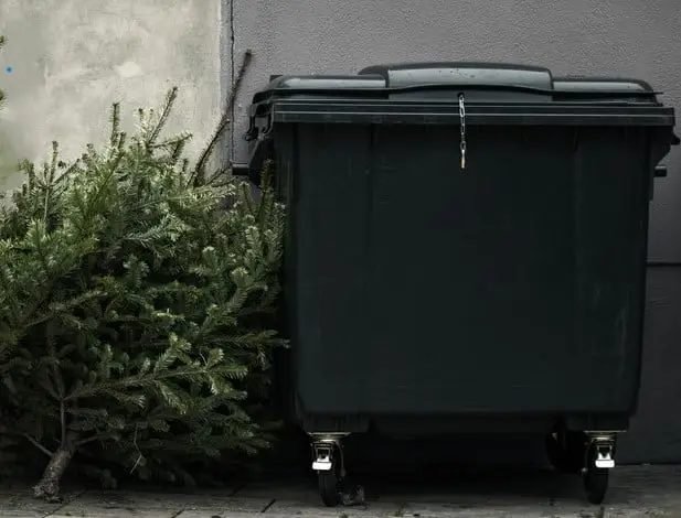 Hamarosan indul a karácsonyfajárat