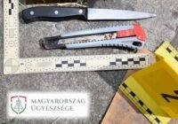 Letartóztatásban a szomszédja nyakát tapétavágóval elmetszeni próbáló férfi