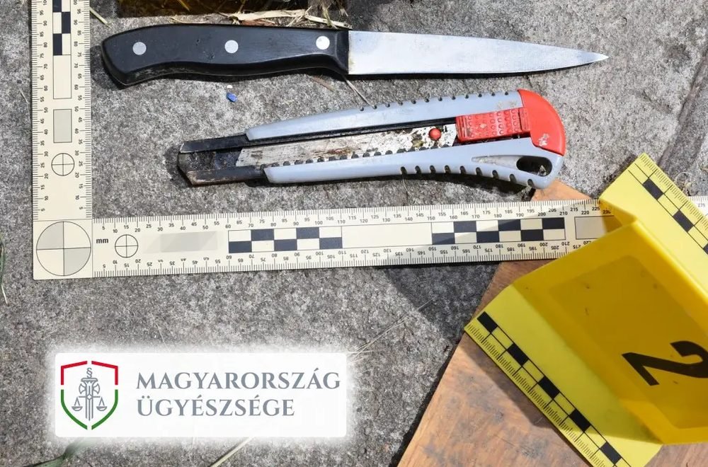 Letartóztatásban a szomszédja nyakát tapétavágóval elmetszeni próbáló férfi